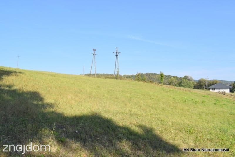 Działka budowlana pod siedlisko oraz pod fotowoltaikę (1,91ha) - zdjęcie 2