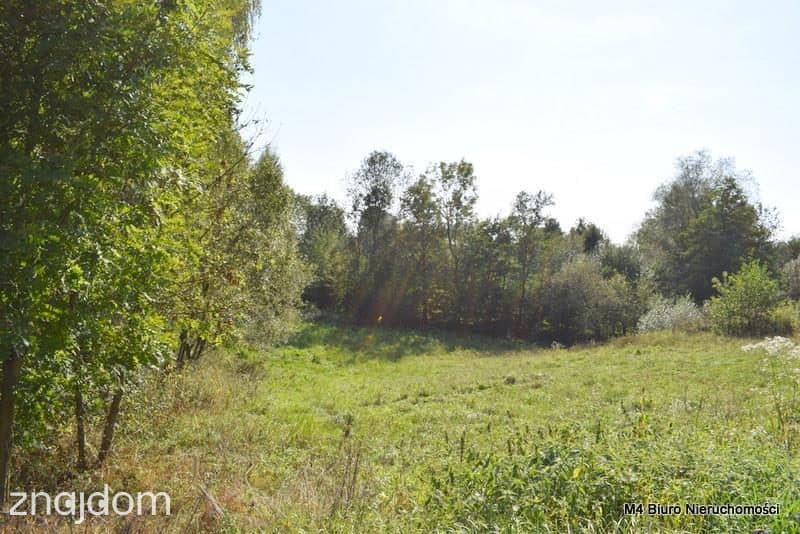 Działka budowlana pod siedlisko oraz pod fotowoltaikę (1,91ha) - zdjęcie 3