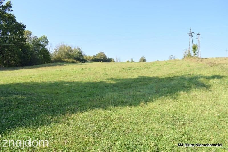 Działka budowlana pod siedlisko oraz pod fotowoltaikę (1,91ha) - zdjęcie 4