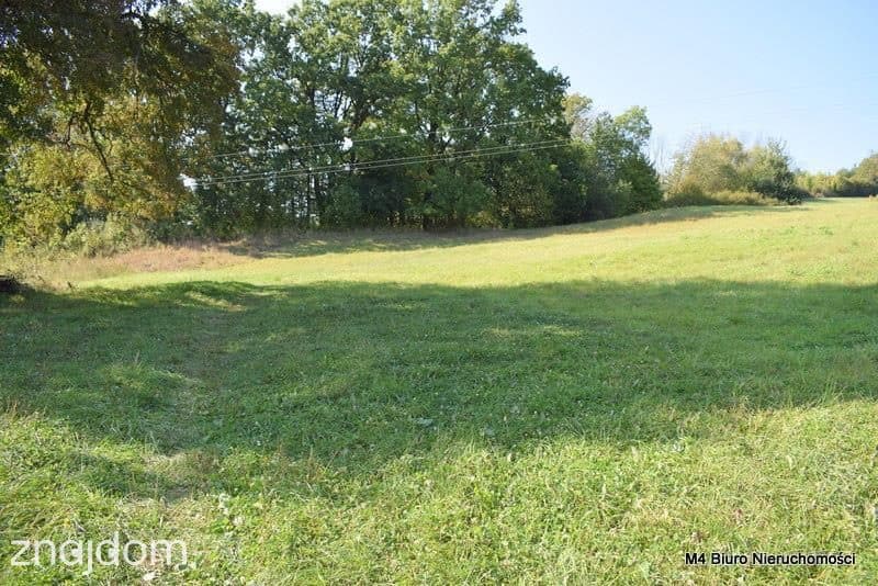 Działka budowlana pod siedlisko oraz pod fotowoltaikę (1,91ha) - zdjęcie 5