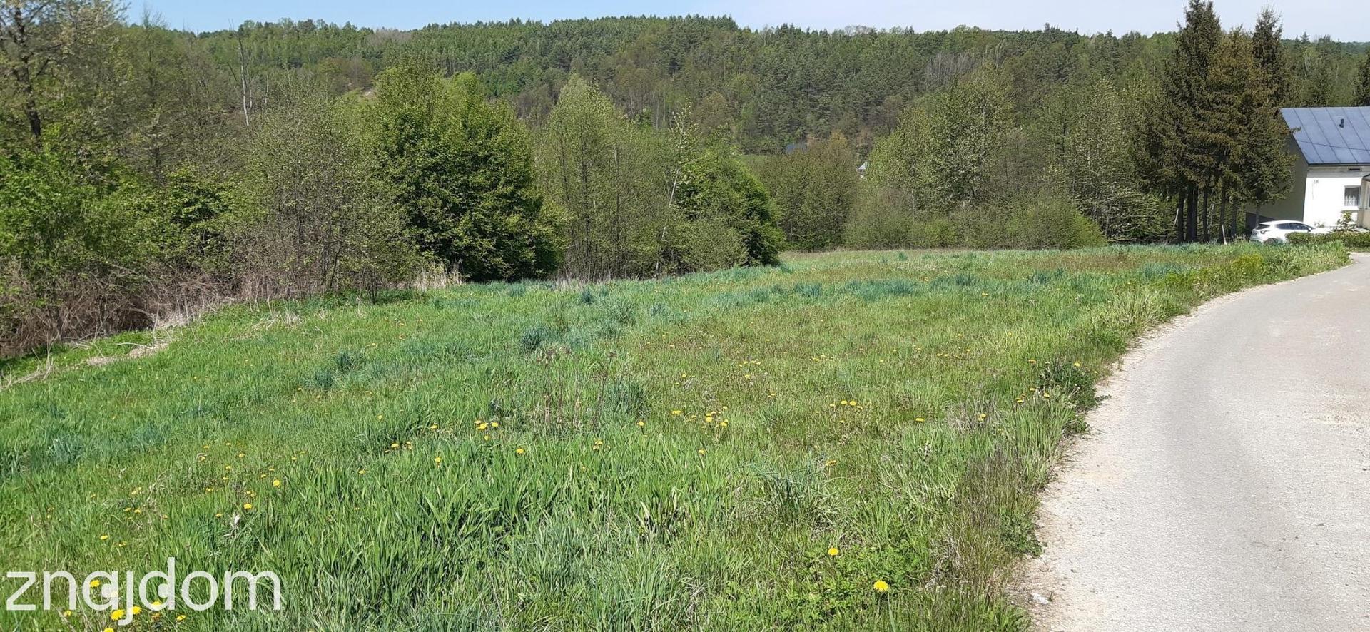 Działka budowlana w Hłudnie - zdjęcie 2