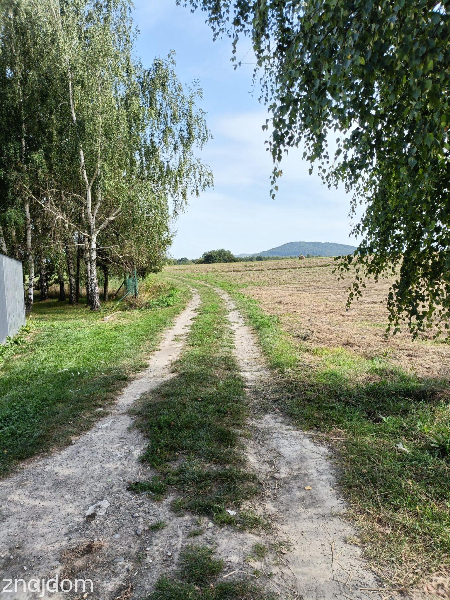 Lalin - działka idealna pod domki letniskowe - zdjęcie 5
