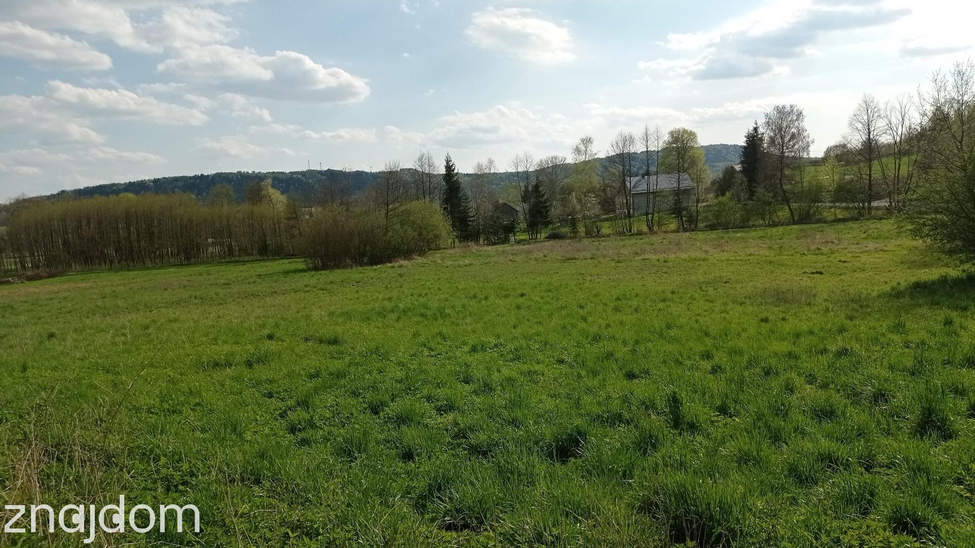 Domaradz działki rolne- Okazja - zdjęcie 2