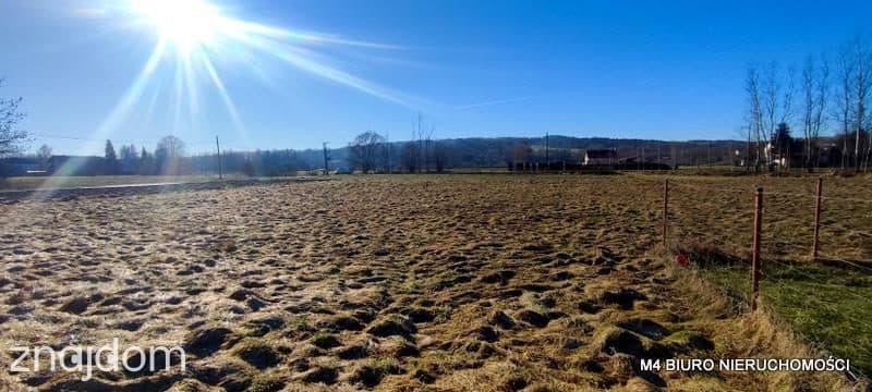 Budowlane działki- Przysieki, powiat jasielski. - zdjęcie 2