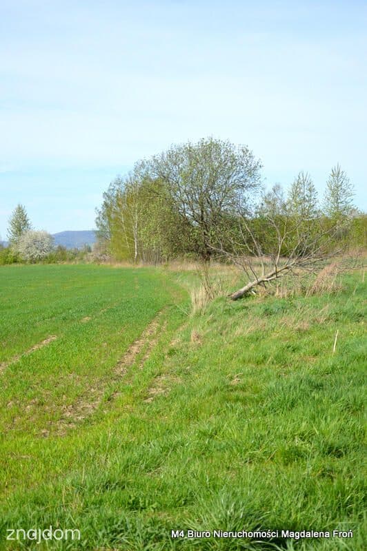 Działka z warunkami zabudowy w Krośnie. - zdjęcie 2