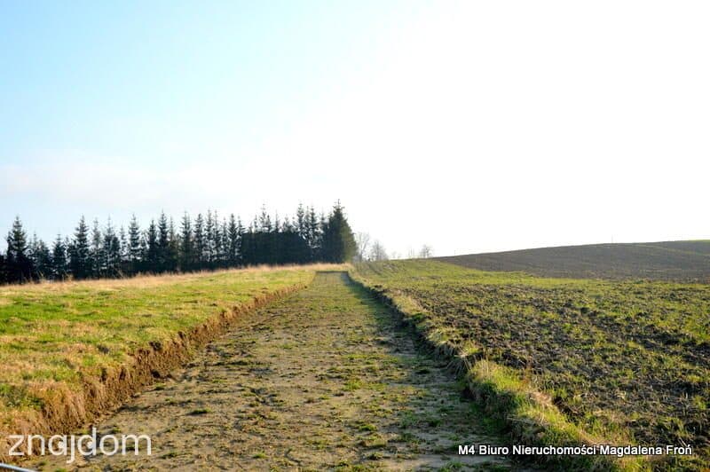 Działki budowlane- 1 km od Zapory w Sieniawie. - zdjęcie 4