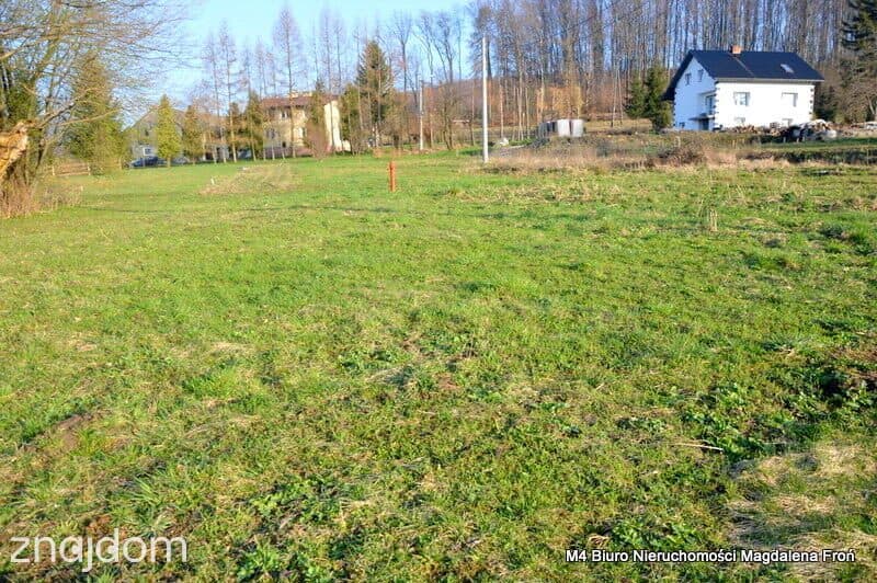Działki budowlane- 1 km od Zapory w Sieniawie. - zdjęcie 5