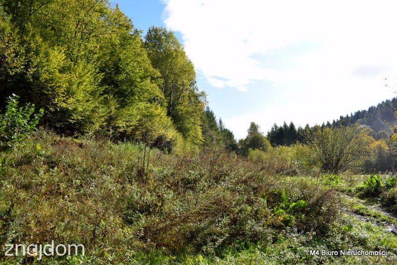 Działka z Planem Zagospodarowania w Rymanowie Zdr. - zdjęcie 3