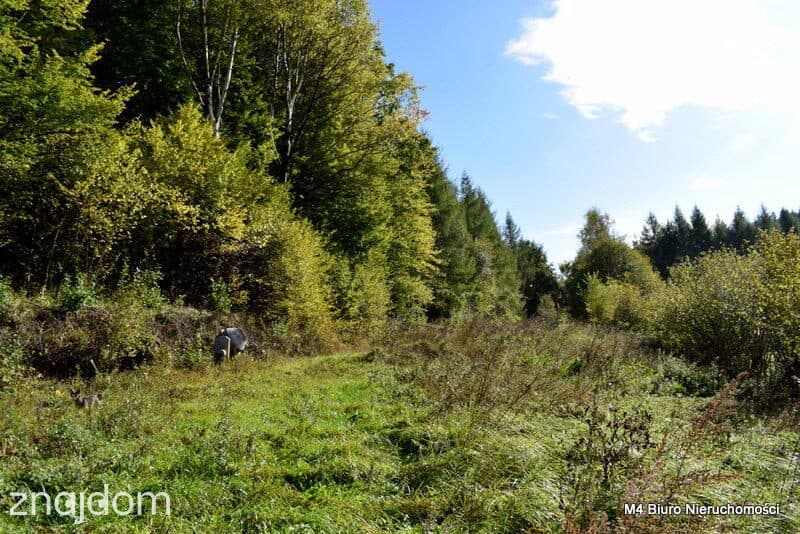 Działka z Planem Zagospodarowania w Rymanowie Zdr. - zdjęcie 4