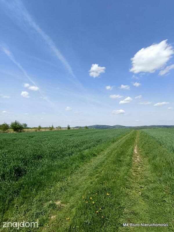 Piekne 3 widokowe działki rolne w Krośnie.