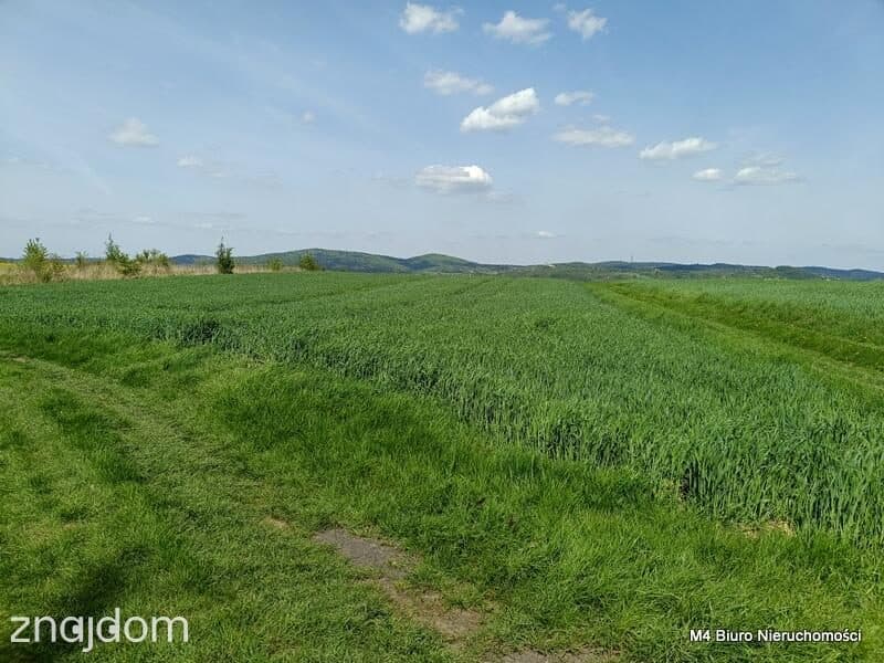 Piekne 3 widokowe działki rolne w Krośnie. - zdjęcie 3