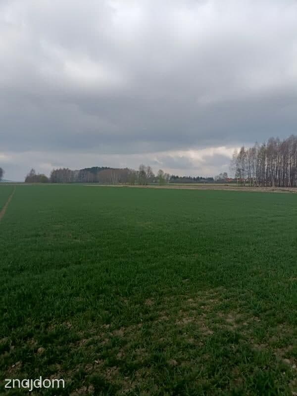 Piękne 10 arowe działki w Świerzowej Polskiej - zdjęcie 15