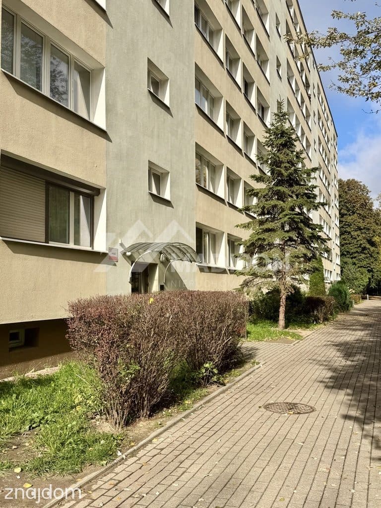 32,5m2 | 2 pokoje piwnica | do zamieszkania | Służew - zdjęcie 9
