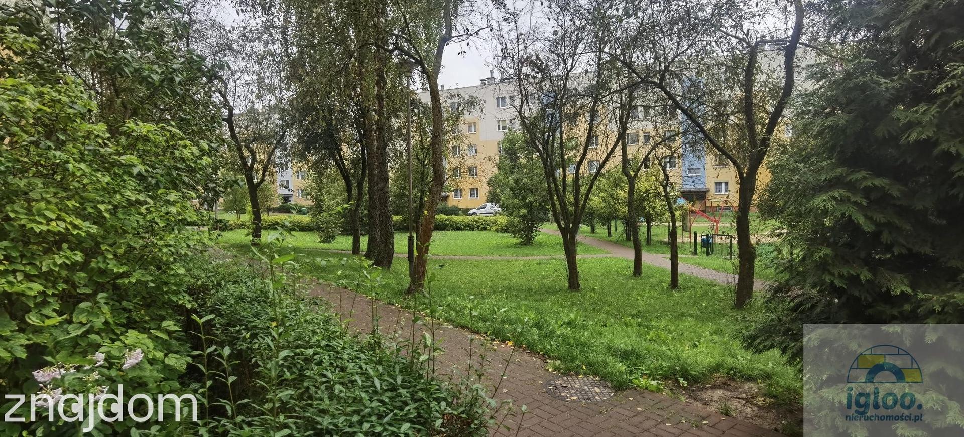 Mieszkanie 3-pokojowe -bez piecyka- 1-piętro -os.Uroczysko - zdjęcie 13