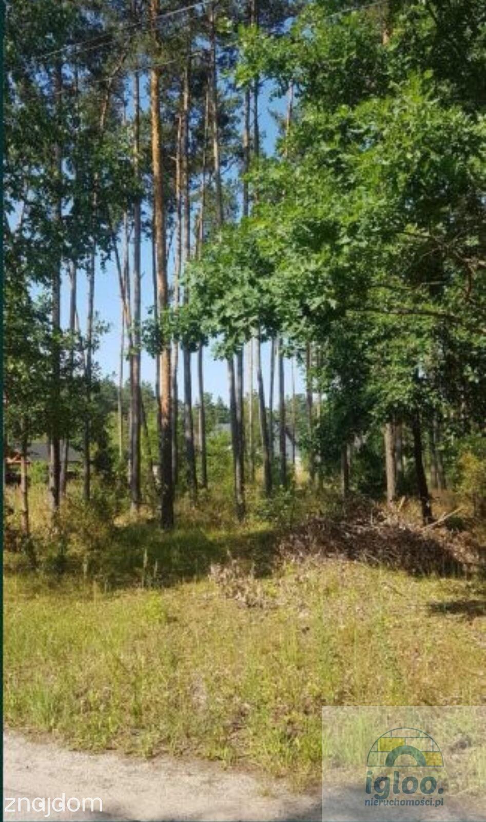Okazja, działka budowlana 7 km od Kielc - zdjęcie 2