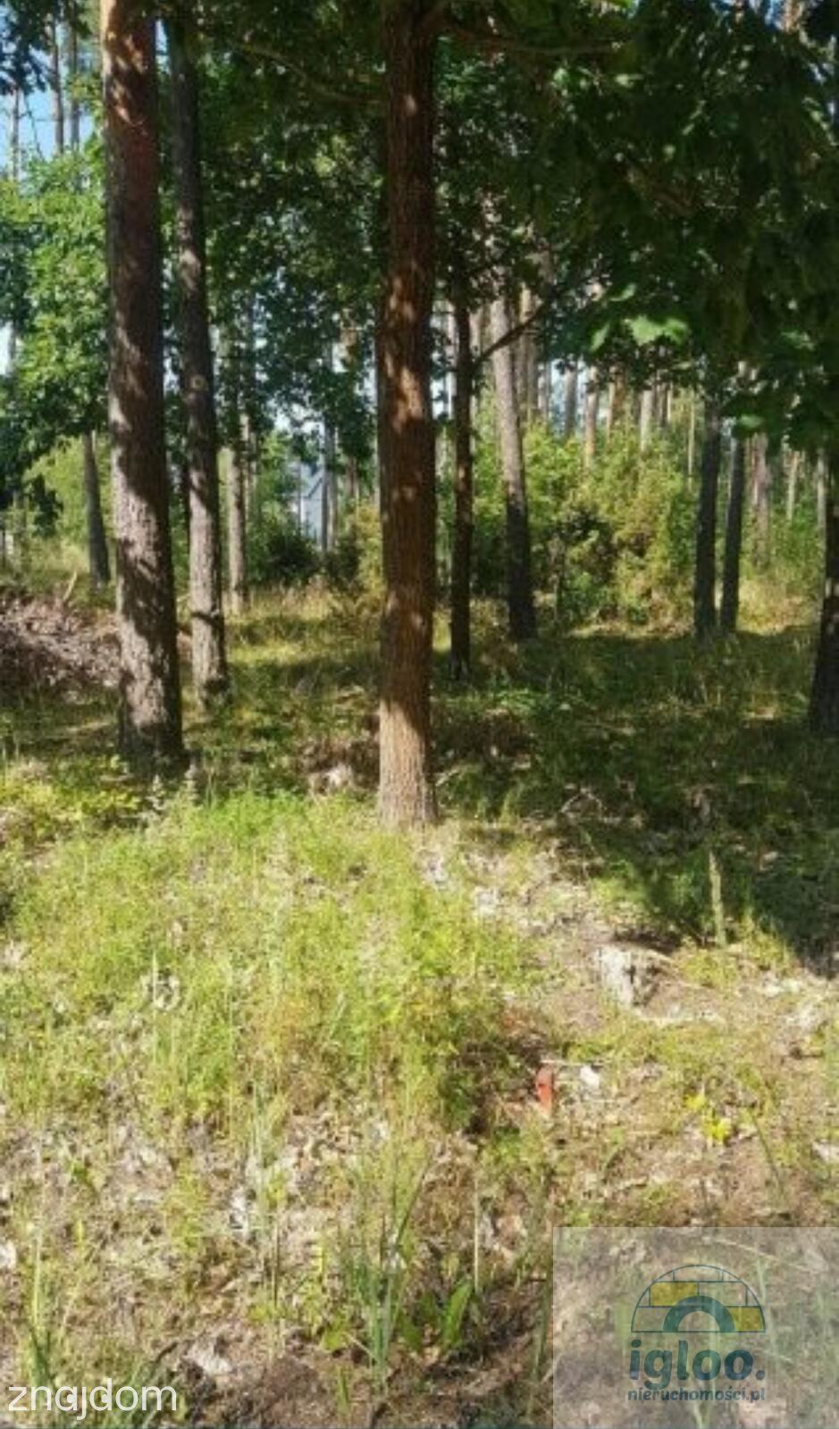 Okazja, działka budowlana 7 km od Kielc - zdjęcie 4