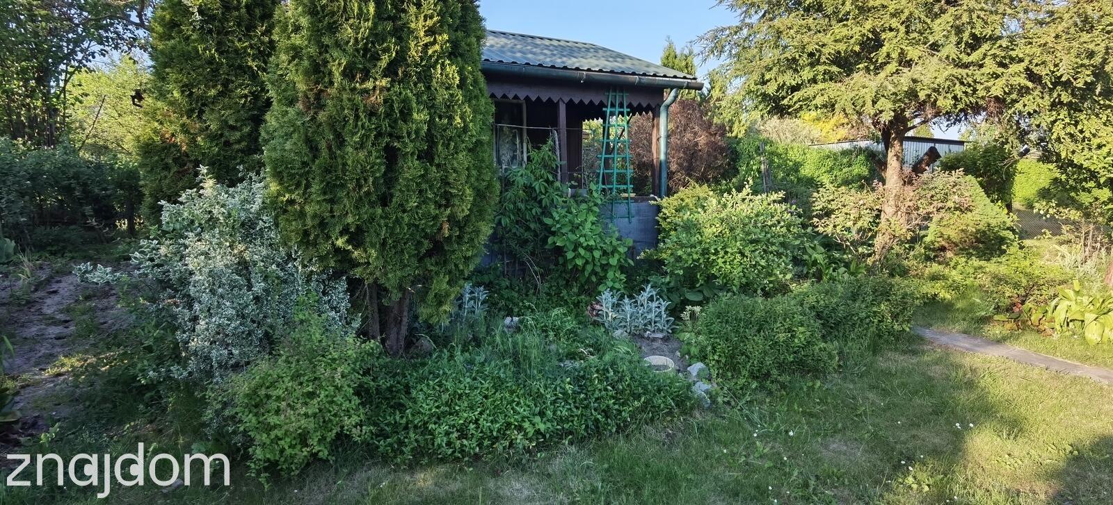 Działka ROD z domkiem, prądem oraz wodą os.Ksm - zdjęcie 2
