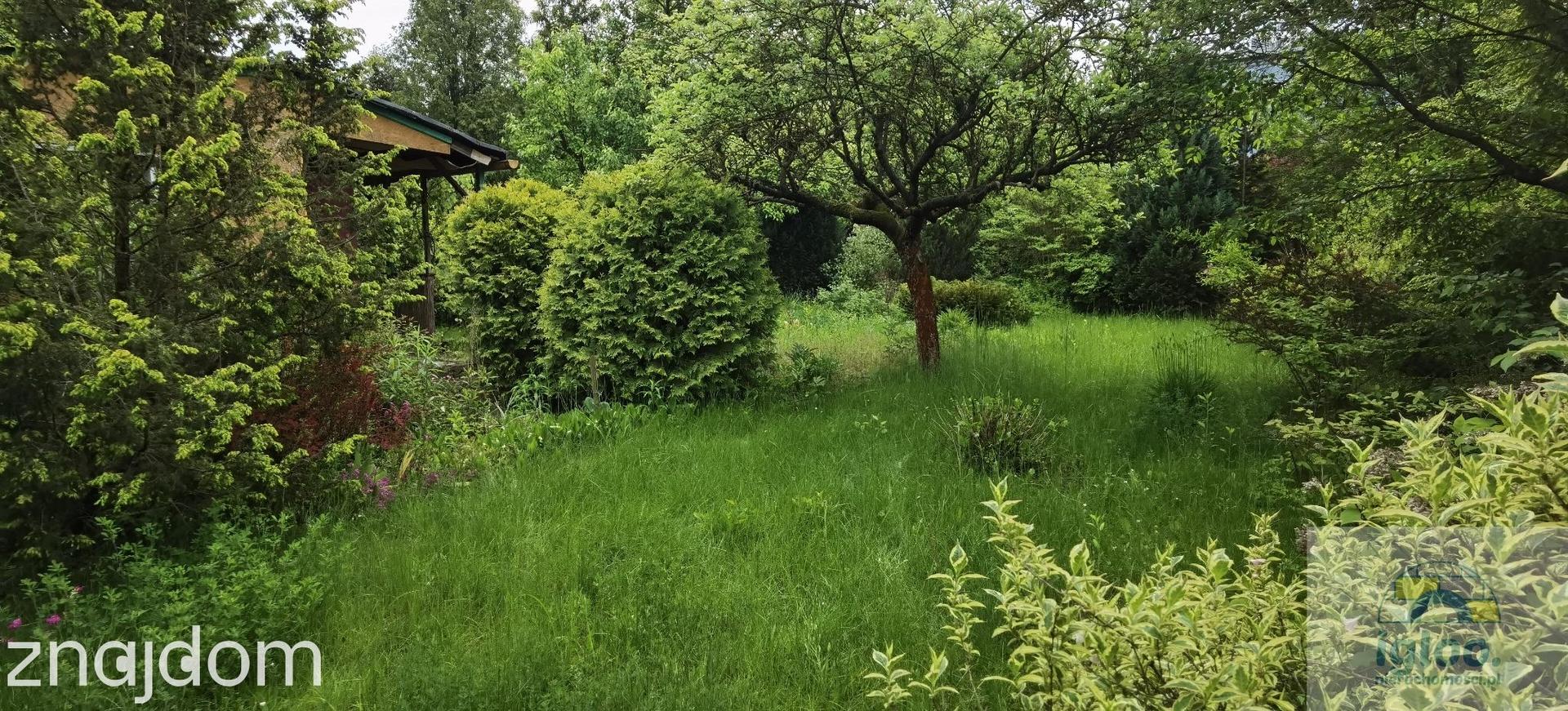 Duża działka ROD "Społem" z domkiem, woda z sieci - zdjęcie 3