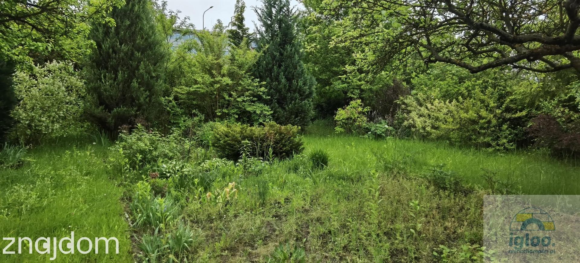 Duża działka ROD "Społem" z domkiem, woda z sieci - zdjęcie 6