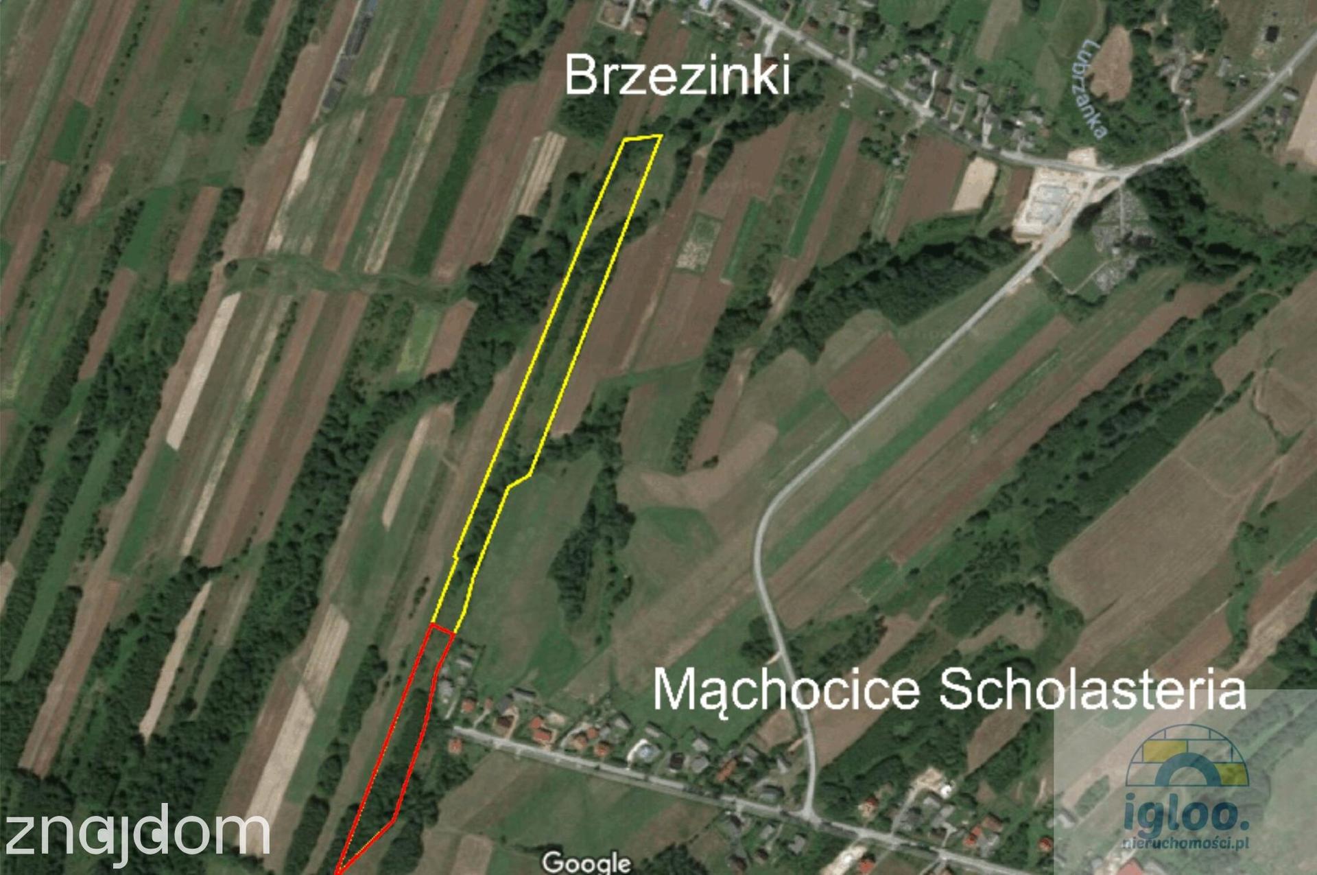 Działka 25000m² - Masłów - Brzezinki - Inwestycyjna - Budowlana - zdjęcie 2