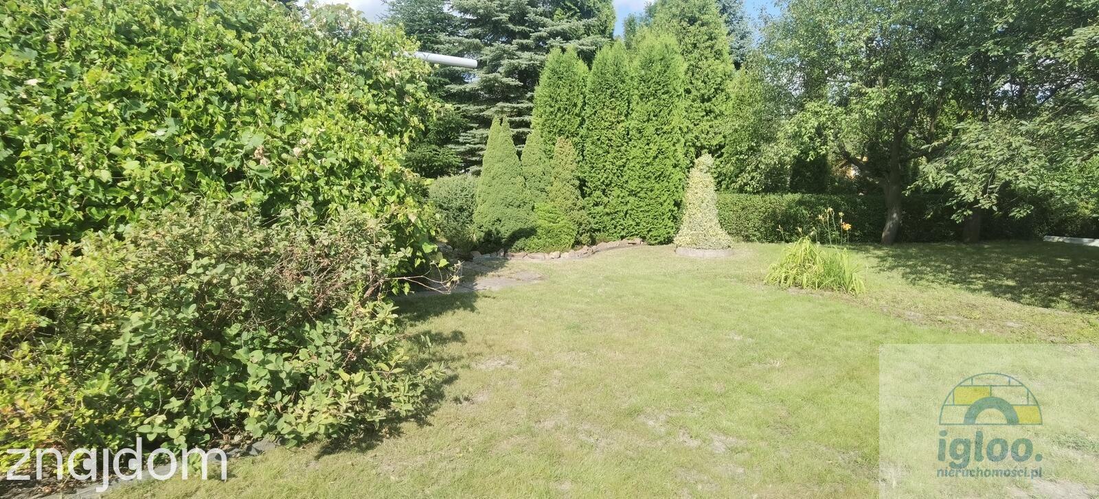 Działka z domkiem ROD Społem, woda i prąd - zdjęcie 3