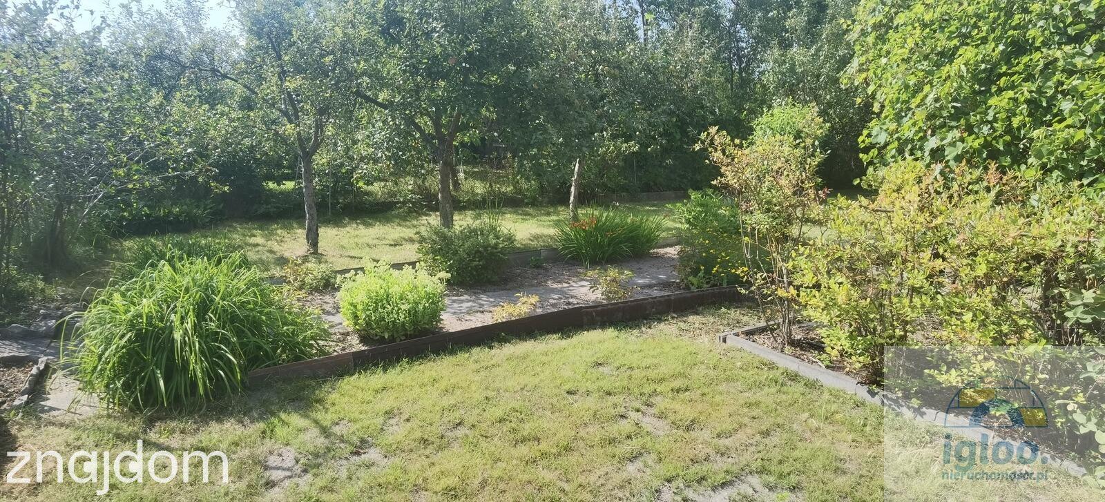 Działka z domkiem ROD Społem, woda i prąd - zdjęcie 4