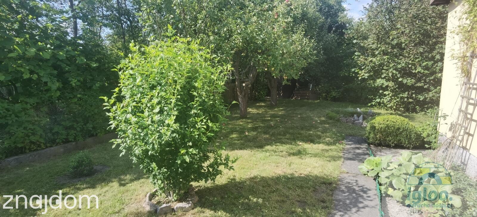 Działka z domkiem ROD Społem, woda i prąd - zdjęcie 5