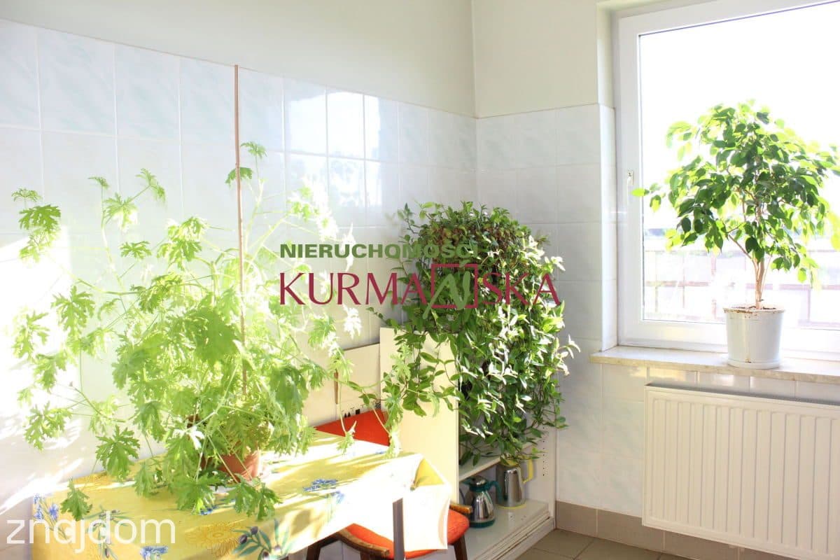 Pomieszczenia biurowe - zdjęcie 5