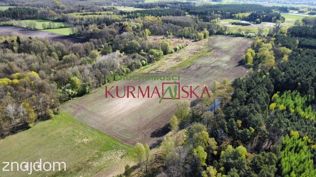Działka rolna Kiełpin - zdjęcie 2