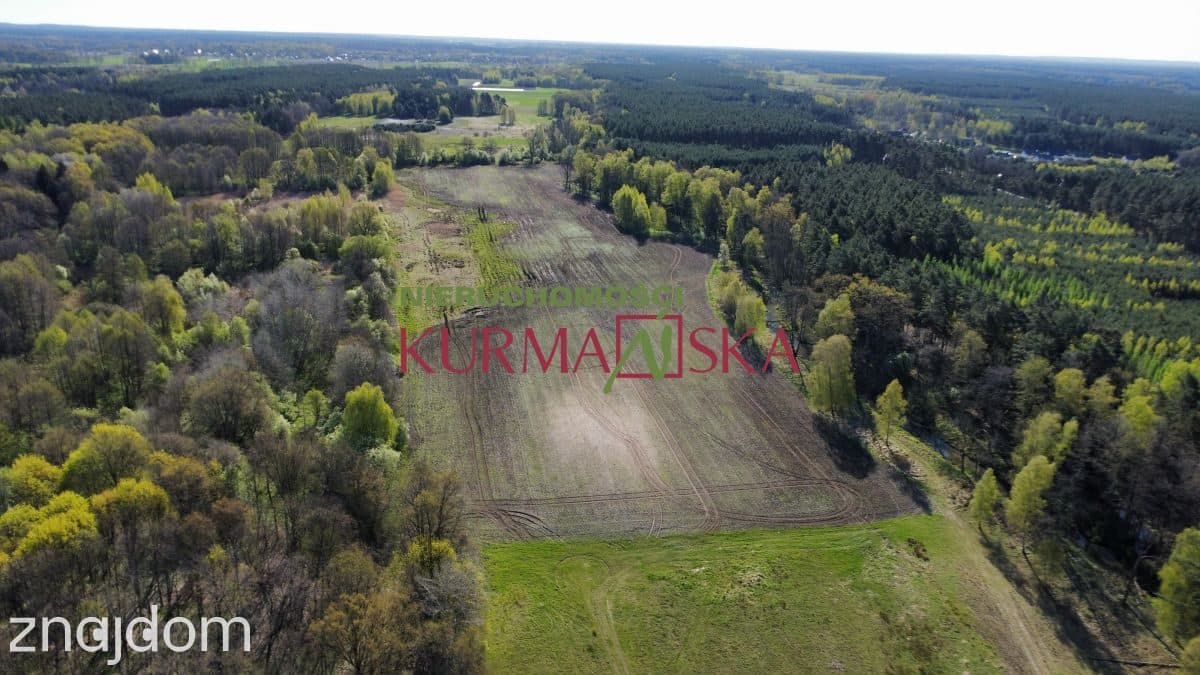 Działka rolna Kiełpin - zdjęcie 3