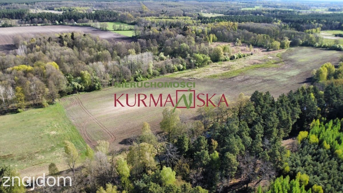 Działka rolna Kiełpin - zdjęcie 4