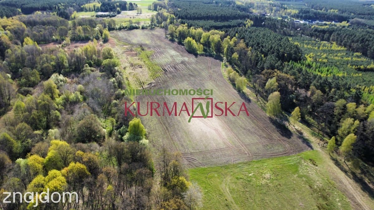 Działka rolna Kiełpin - zdjęcie 6