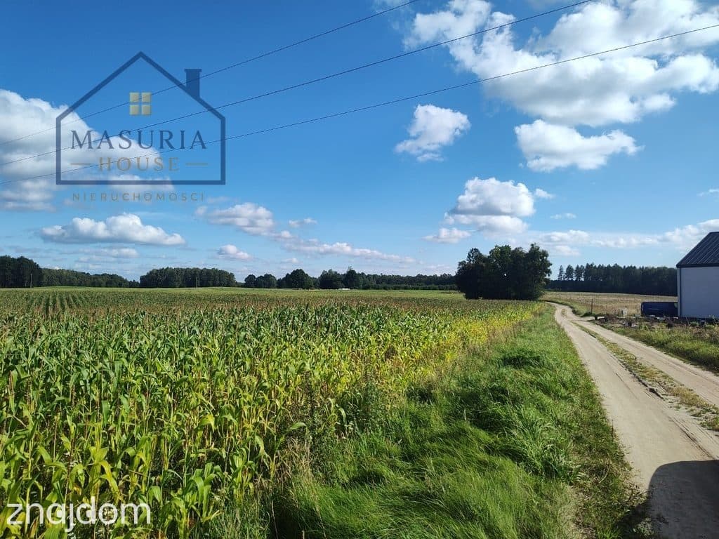 Duża działka rolna - siedliskowa - zdjęcie 12