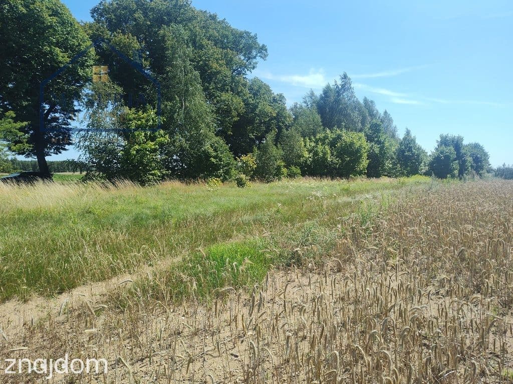 Działka inwestycyjna 3,6 ha – Burkat k. Działdowa
