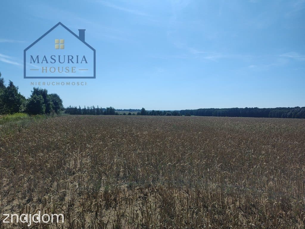 Działka inwestycyjna 3,6 ha – Burkat k. Działdowa - zdjęcie 2