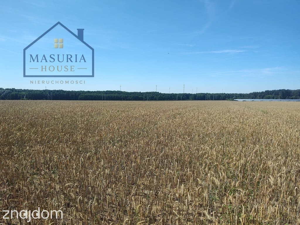 Działka inwestycyjna 3,6 ha – Burkat k. Działdowa - zdjęcie 3
