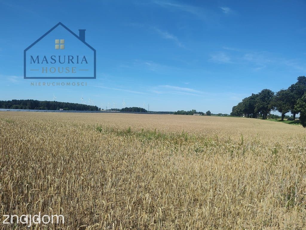 Działka inwestycyjna 3,6 ha – Burkat k. Działdowa - zdjęcie 5