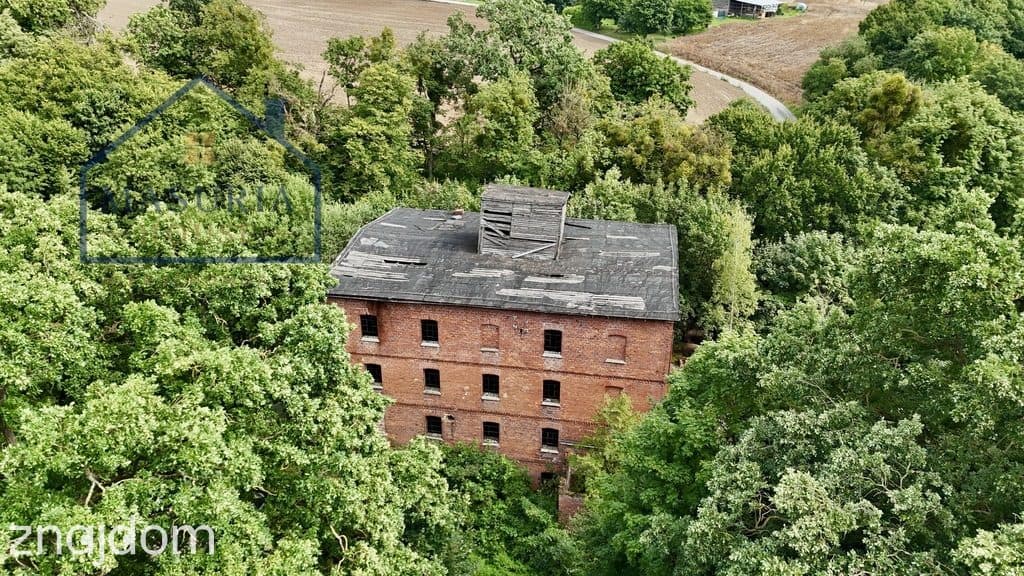 Wyjątkowy dawny Młyn nad rzeką Osą. - zdjęcie 11