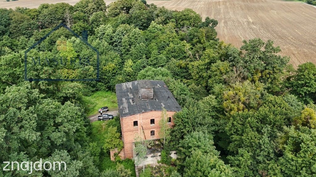 Wyjątkowy dawny Młyn nad rzeką Osą. - zdjęcie 14
