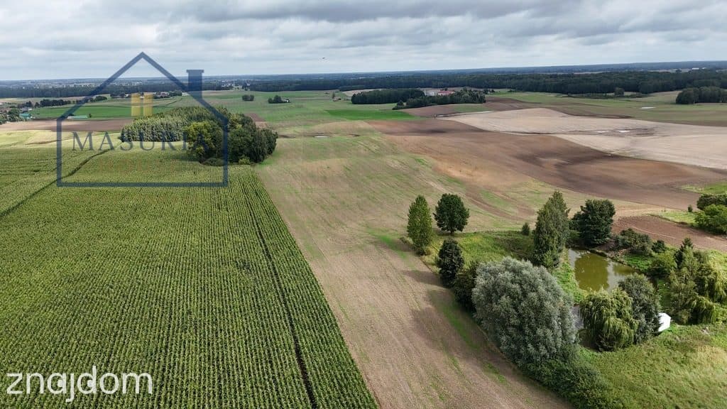 Działka siedliskowa w doskonałej lokalizacji - zdjęcie 12