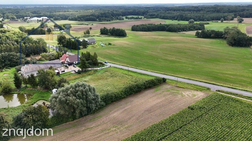 Działka siedliskowa w doskonałej lokalizacji - zdjęcie 15