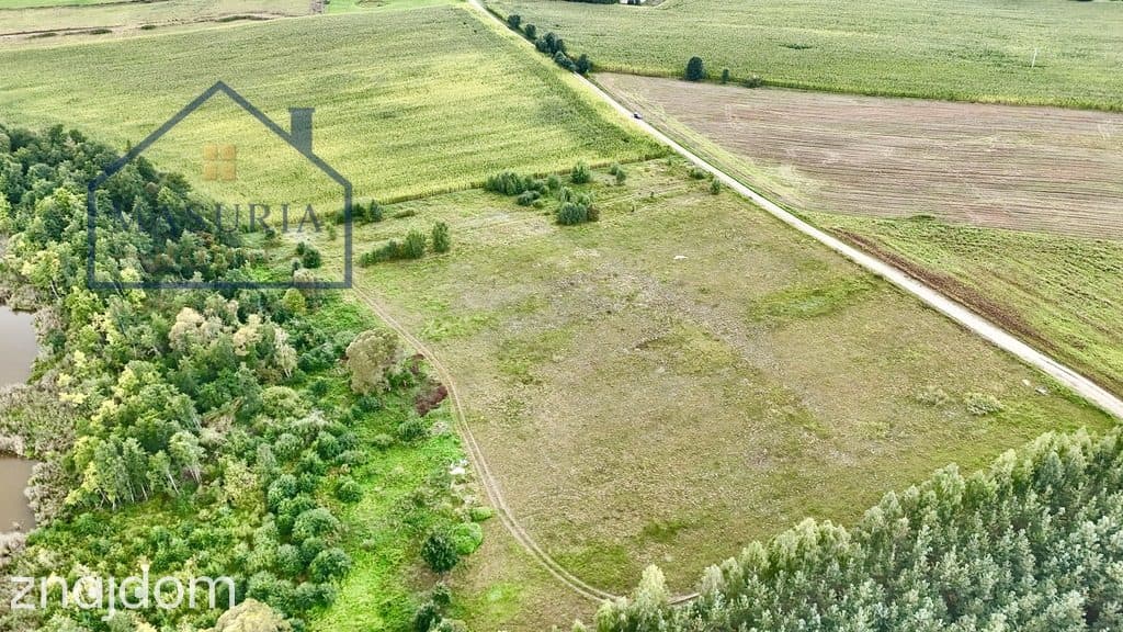 Ostatnie działki z linią brzegową do j. Ewingi! - zdjęcie 11