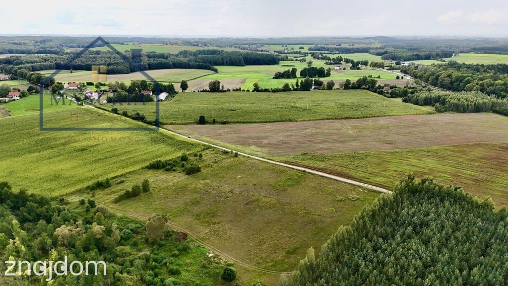 Ostatnie działki z linią brzegową do j. Ewingi! - zdjęcie 12