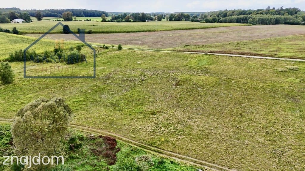 Ostatnie działki z linią brzegową do j. Ewingi! - zdjęcie 15