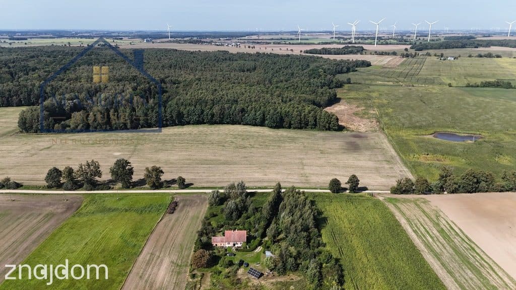 Siedlisko w miejscowości Górki, gm.Stary Dzierzgoń - zdjęcie 4