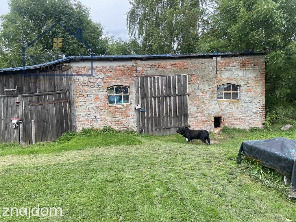 Siedlisko w miejscowości Górki, gm.Stary Dzierzgoń - zdjęcie 10
