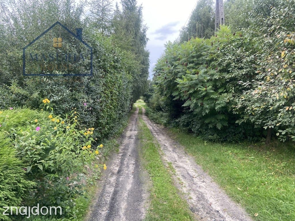 Siedlisko w miejscowości Górki, gm.Stary Dzierzgoń - zdjęcie 15