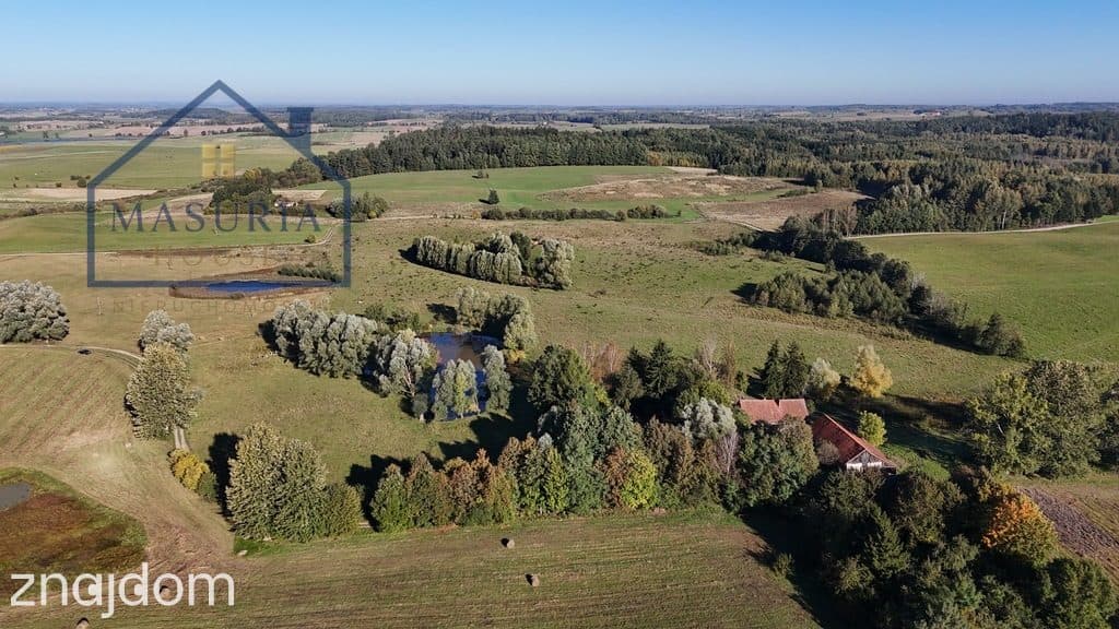 Duża działka rolna w Tłokowie gm. Jeziorany