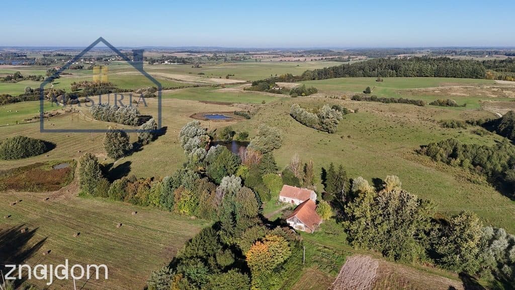 Duża działka rolna w Tłokowie gm. Jeziorany - zdjęcie 3
