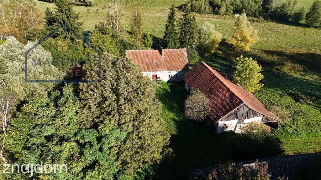 Duża działka rolna w Tłokowie gm. Jeziorany - zdjęcie 15